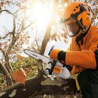 Motosega STIHL per potatura MS 151 TC-E con spranga da 25 cm -  ricambiagricoltura