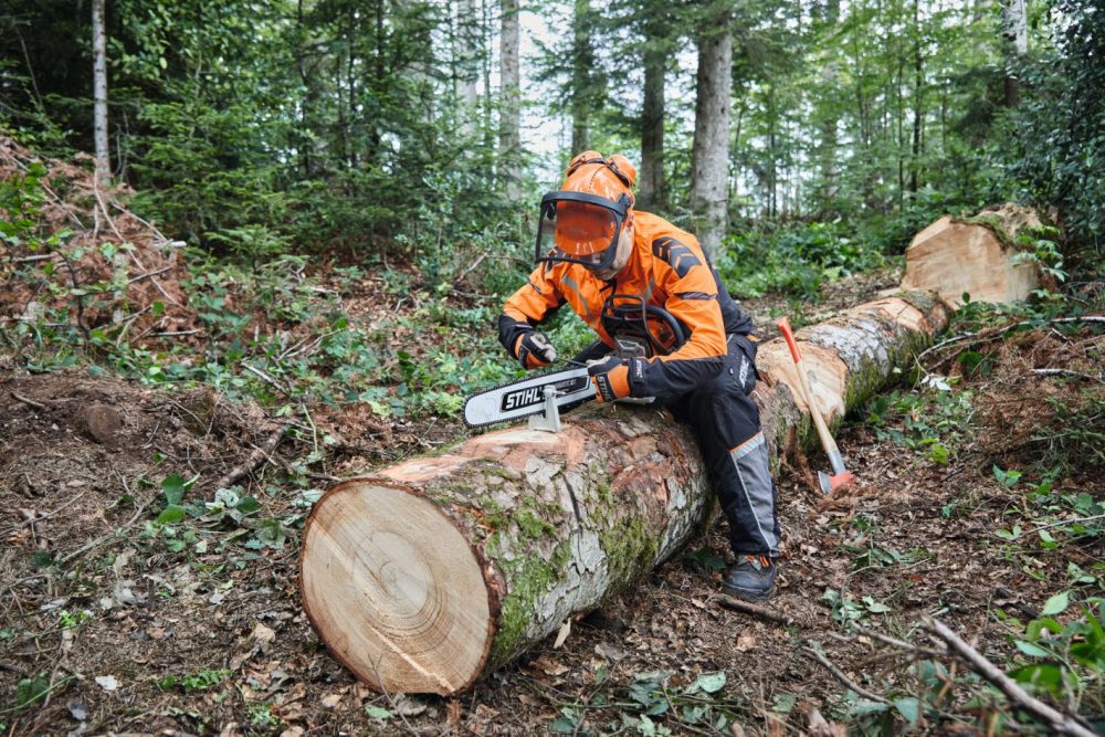 Casco STIHL Dynamic Light Abbigliamento protettivo STIHL Memigavi.it